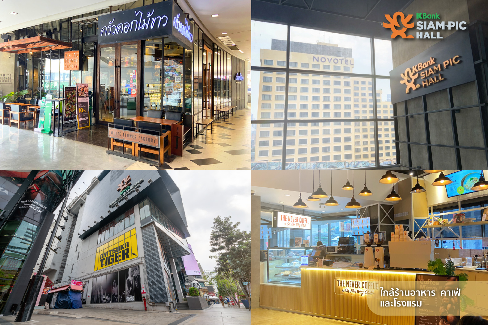 ร้านอาหาร คาเฟ่ โรงแรม